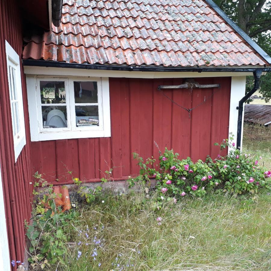 Sankt Anna Bed And Boat, B&B 외부 사진